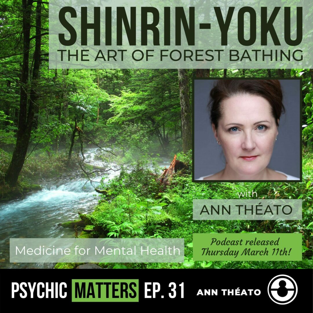 Episode 31 - Shinrin-Yoku - Forest Bathing