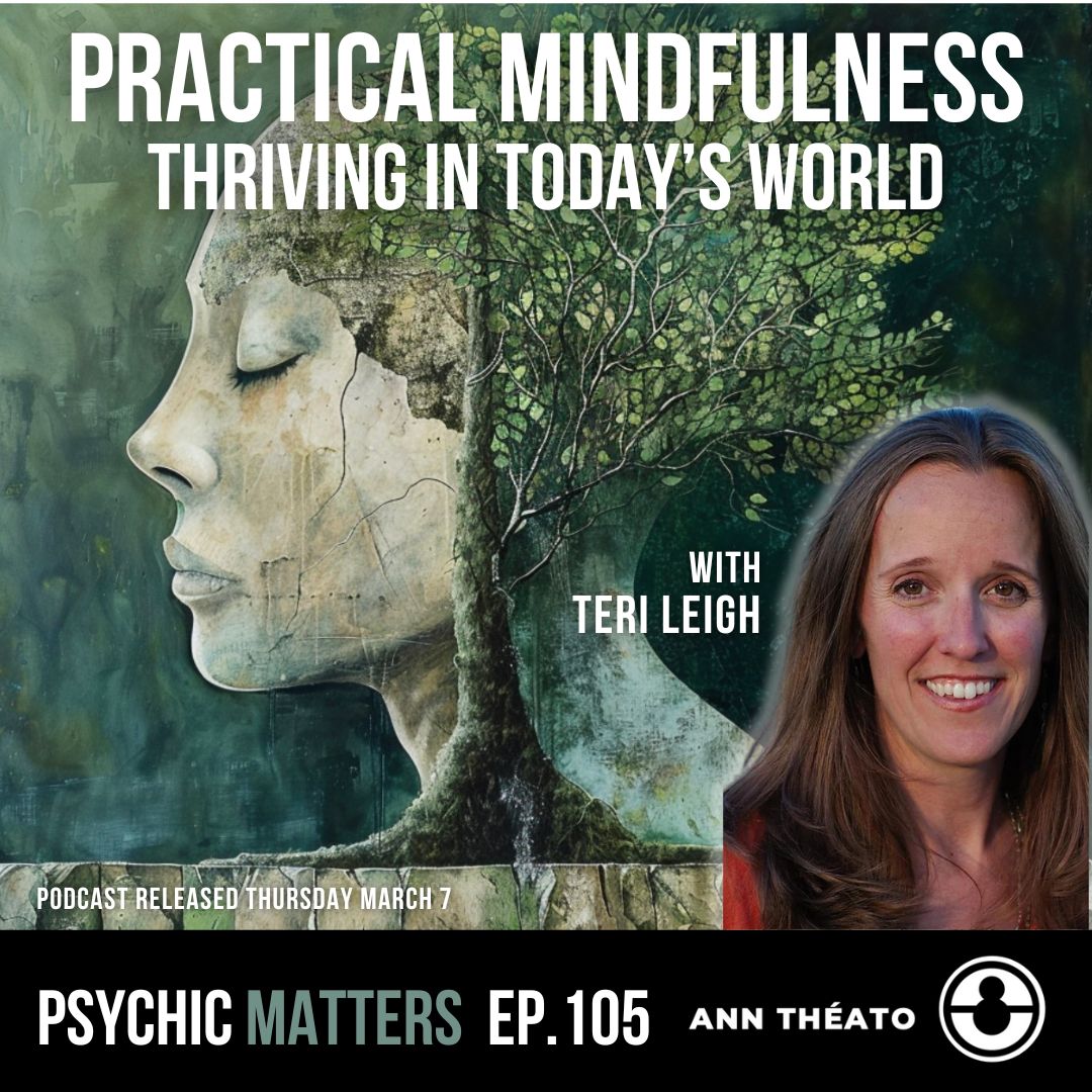 Episode 105 - Practical Mindfulness: Thriving in Today's World